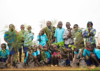UNDP, JOCDEF & NEMA Champion planting trees in schools ahead of Elgon Half Marathon